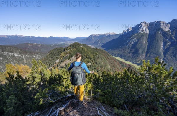 Mountaineer on a hiking trail between mountain pines, autumnal mountain landscape, ascent to the