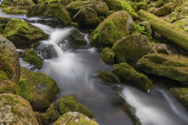 Kleine Ohe creek below Waldhaeuser village in the Bavarian Forest Nationalpark. Flowing water,