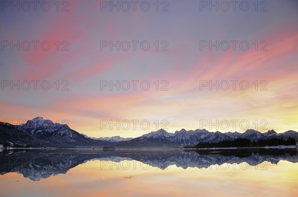 Sunset at the Forggensee near Füssen in the Allgäu, on the left the Säuling (2047 m), Bavaria,