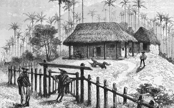 Agriculture of the humid savannahs, Llanos, the northern plains or hill country, small farmers,