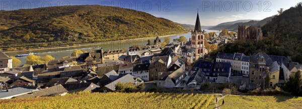 Autumn view of Bacharach on the Rhine with St. Peter's Church, UNESCO World Heritage Upper Middle