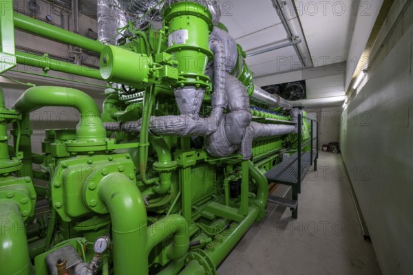 Biogas plant, gas-powered engine for electricity production, generator, in combined heat and power