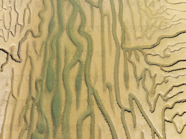 Network of channels and streams at low tide. In the marshland adjacent to the Odiel river. Aerial
