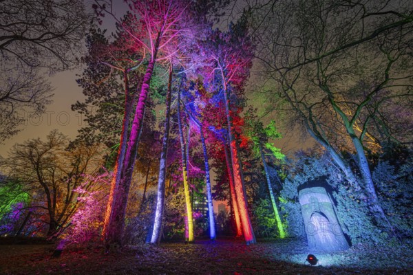 From 9 December 2023 to 14 January 2024, the Palmengarten in Frankfurt am Main will host the Winter