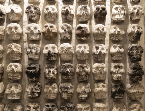 Wall of stone human skulls, archaeological site and museum of Templo Mayor, Mexico City, Mexico,
