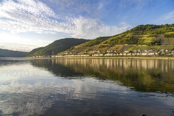 View over the Rhine to Lorch, Rheingau, World Heritage Site Upper Middle Rhine Valley, Hesse,