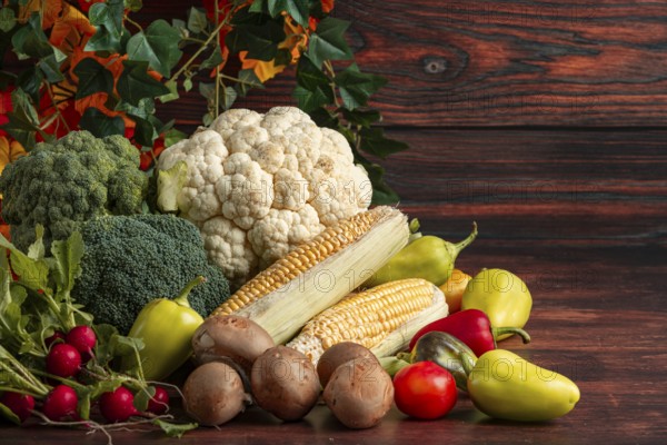Fresh vegetables, colourful peppers, corn on the corn cob, cauliflower, broccoli, radishes and