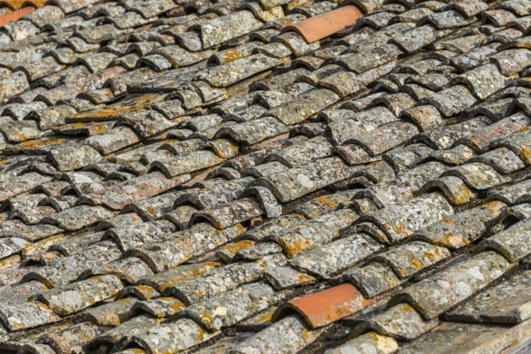Old roof tiles, roof, old, moss, texture, background, graphic, building, dilapidated, surface,