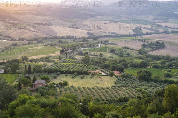 View from Montepulciano into a typical Tuscan landscape in Val d'Orcia with hills, trees, fields,