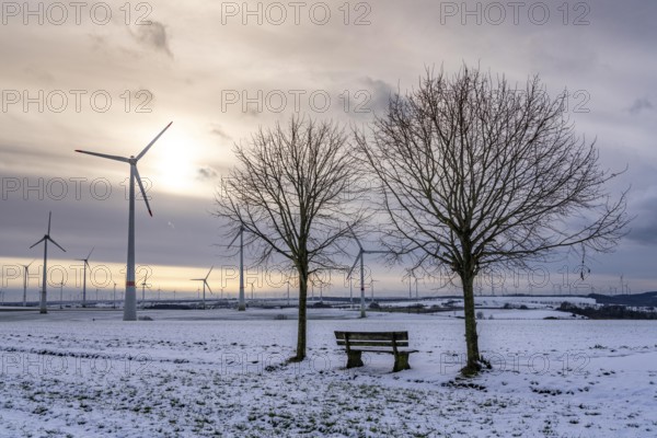 Wind farm, north of Lichtenau, self-proclaimed energy town, over 190 wind turbines and over 1200