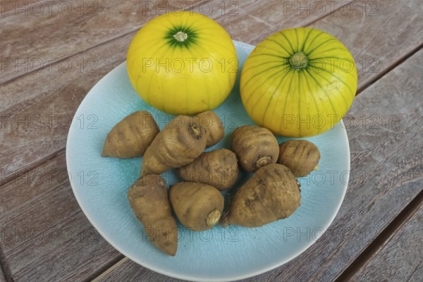 Chaerophyllum bulbosum, chervil turnip, chervil bulb, healthy root, courgette (Cucurbita pepo subsp