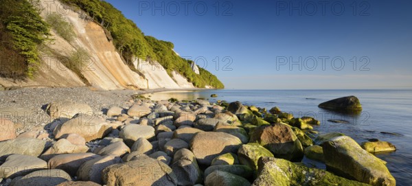 Chalk cliffs and boulders on the Baltic Sea in spring, Königsstuhl in the background, fresh