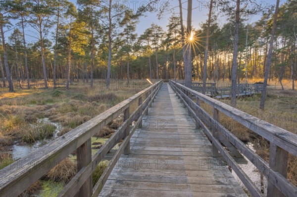 View along a moor bridge in the moor adventure trail, Otternhagener Moor, Resse, Neustadt am