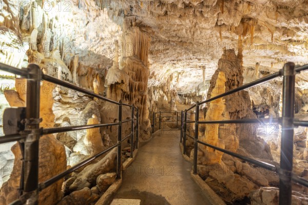 Tourists enjoy a train ride through the illuminated walkways of postojna cave, marveling at the