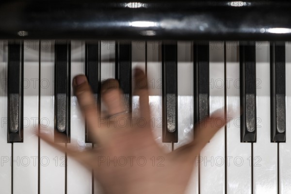Hand of a young pianist playing on the keyboard of a Steinway & Sons grand piano, Stuttgart,