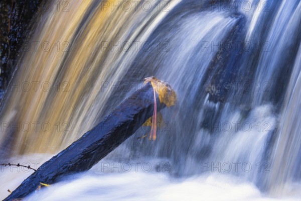 Waterfall with flowing water and autumn leaves on a wooden stick