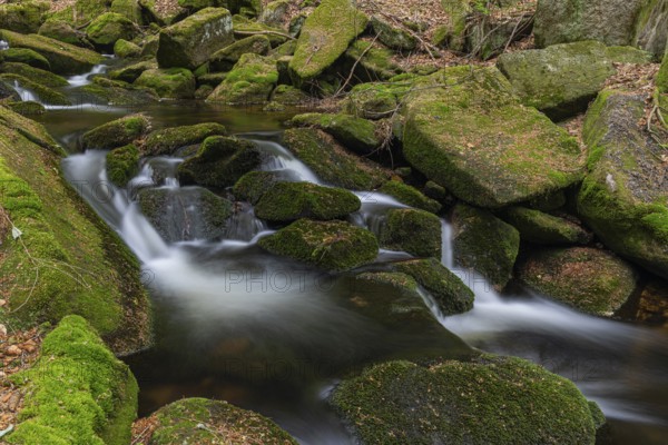 Kleine Ohe creek below Waldhaeuser village in the Bavarian Forest Nationalpark. Flowing water,