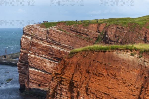 Red coloured sandstone, steep cliff coast of the high seas island of Heligoland, home of the