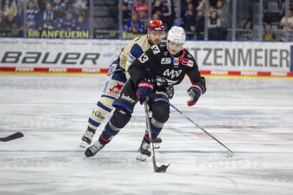 DEL, German Ice Hockey League season 2024/25, matchday 38: Adler Mannheim against Schwenninger Wild