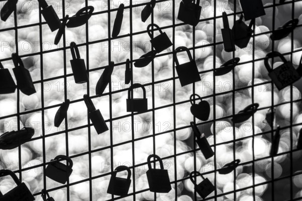 Padlocks, so-called love locks on a fence, vantage point in Wesel am Rhein, North Rhine-Westphalia,