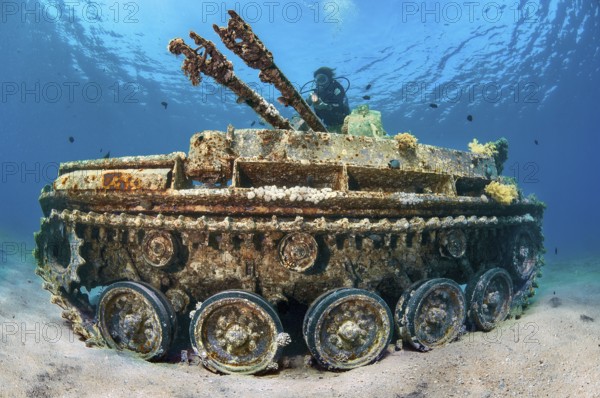 Underwater photo of diver swimming above looking at as an attraction for underwater sportsmen