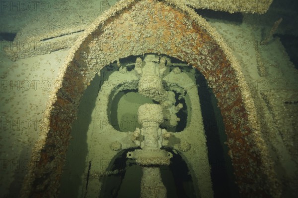 Rusty machine structure of a ship with mussels, quagga triangle mussel (Dreissena rostriformis