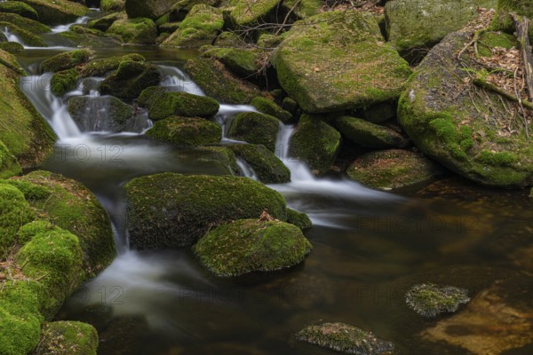 Kleine Ohe creek below Waldhaeuser village in the Bavarian Forest Nationalpark. Flowing water,