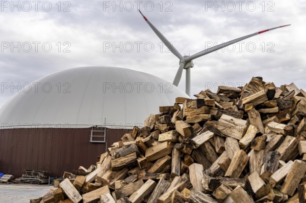 Biogas plant produces gas from various biomass, here the wood storage, the electricity is produced