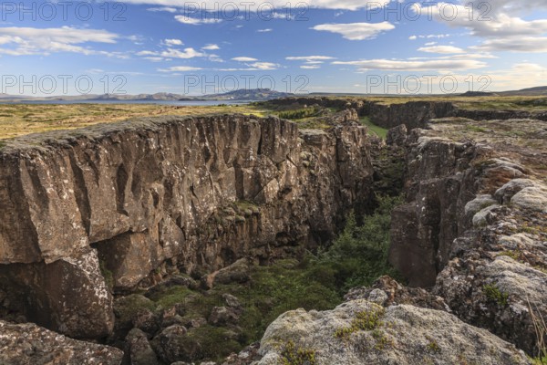 Lava fields, tectonic plates, continental plates, crevasses and canyons, summer, sunny, Thingvellir