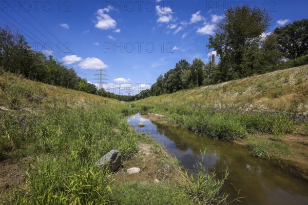 Bottrop, North Rhine-Westphalia, Germany, Renaturalised Boye, the tributary of the Emscher, was