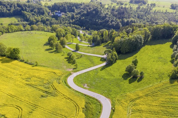 Aerial view of the winding serpentine road between blossoming rapeseed fields from Reifland to