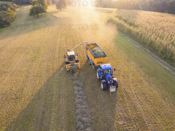 Aerial view of a tractor and a harvester picking up hay in a field at sunset, Haselstaller Hof,