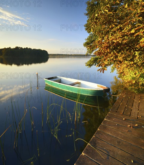Quiet lake with jetty and rowing boat in the evening in autumn, horse chestnut with autumn leaves