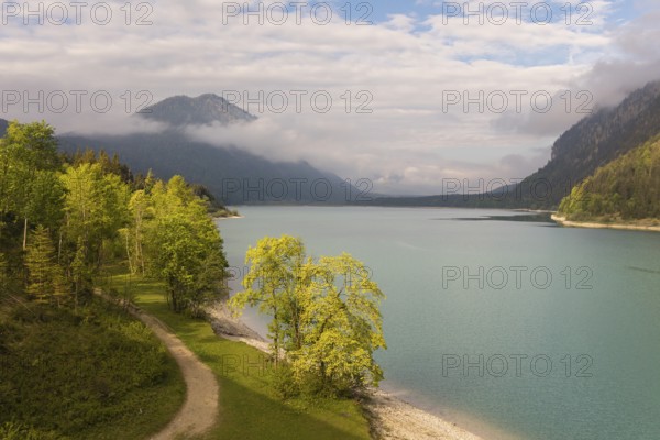 Early morning at the Sylvenstein reservoir, Reservoir in the Isarwinkel, municipality of Lenggries,