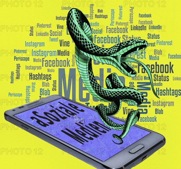 Symbolic image, poisonous snake as (a) Social media, mobile phone, smartphone, socialmedia, Elon