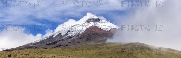 Cotopaxi seen from the high plain, Cotopaxi, Cotopaxi National Park, Latacunga, Ecuador, South