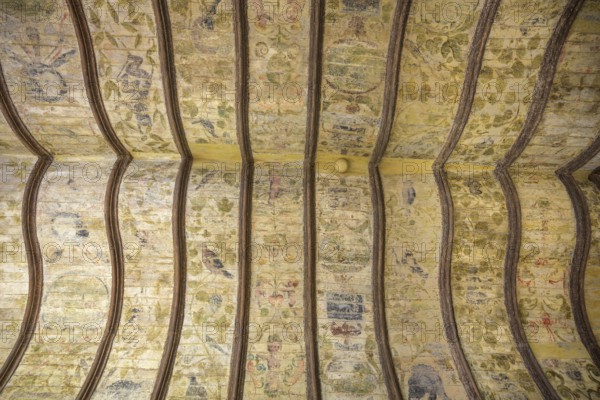 Ceiling fresco on a wooden ceiling in the Toulouse-Lautrec Museum in the Palais de la Berbie, Albi,