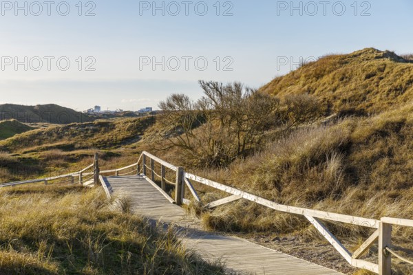 Handicapped-accessible boardwalk to the viewing dune, dune landscape in the national park, the town
