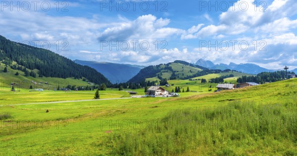 Breathtaking summer scenery in alpe di siusi, dolomites, italy, showcasing lush green meadows,