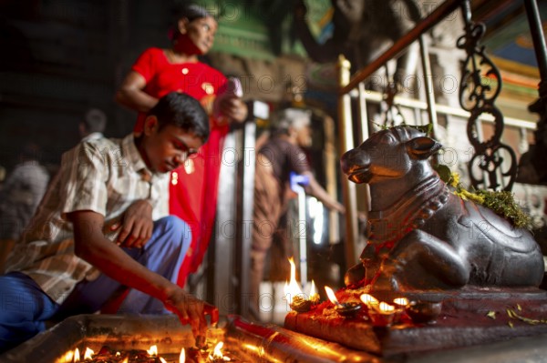 Boy lighting candle in front of the bull Nandi, mount of God Shiva, Minakshi or Meenakshi or Sri