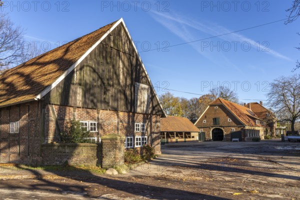 Ponyhof Schleithoff farm, Havixbeck, Münsterland, North Rhine-Westphalia, Germany, Europe