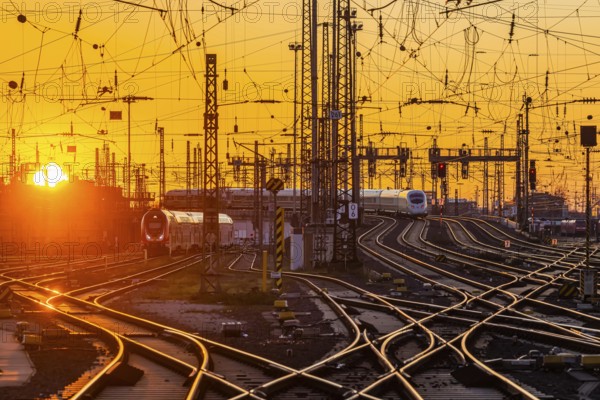 Track apron with trains, rails, points, pylons and signalling systems. Infrastructure at the main