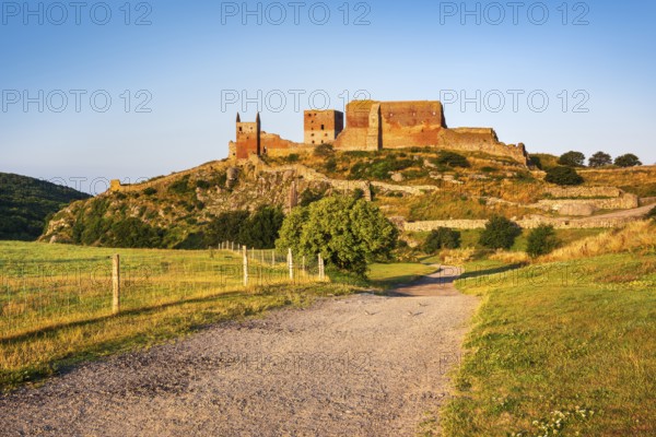 Hammershus castle ruins in the morning light, Allinge-Sandvig, Bornholm, Denmark, Europe