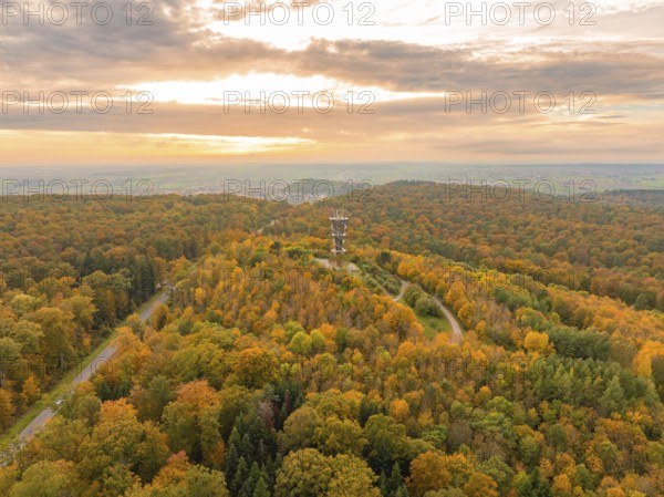 Forest landscape in autumn with an observation tower and colourful foliage under a slightly cloudy