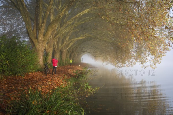 Essen, North Rhine-Westphalia, Germany, Golden autumn at Lake Baldeney. Cyclists and joggers in the