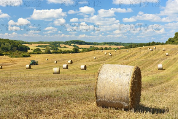 Harvesting straw bales under a blue sky with cumulus clouds, hilly landscape near Angermünde in