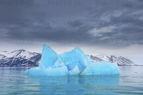 Iceberg, ice floe from calving Monacobreen glacier floating in the Liefdefjorden, fjord in Haakon
