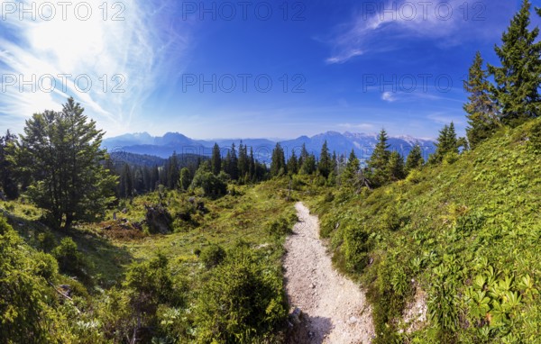 Wanderweg durch einen Gebirgswald zum Gipfel des Taborberg mit Blick zum Tennengebirge und