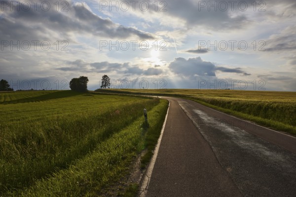 Crop field, trees, backlight of the sun, blue sky, cumulus clouds, nimbostratus clouds, country