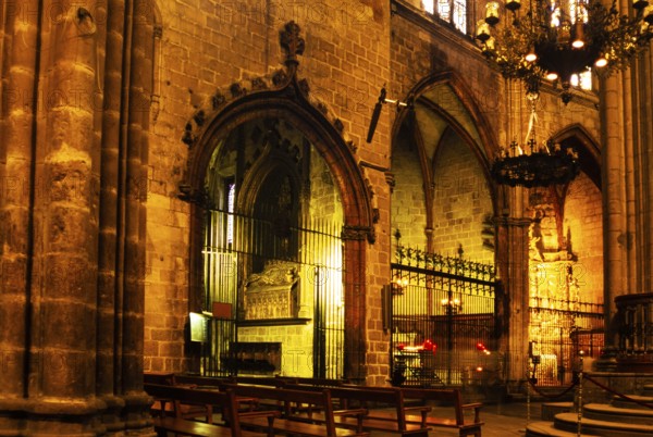 Interior of the Cathedral of the Holy Cross and St Eulalia, Cathedral in the city of Barcelona,
